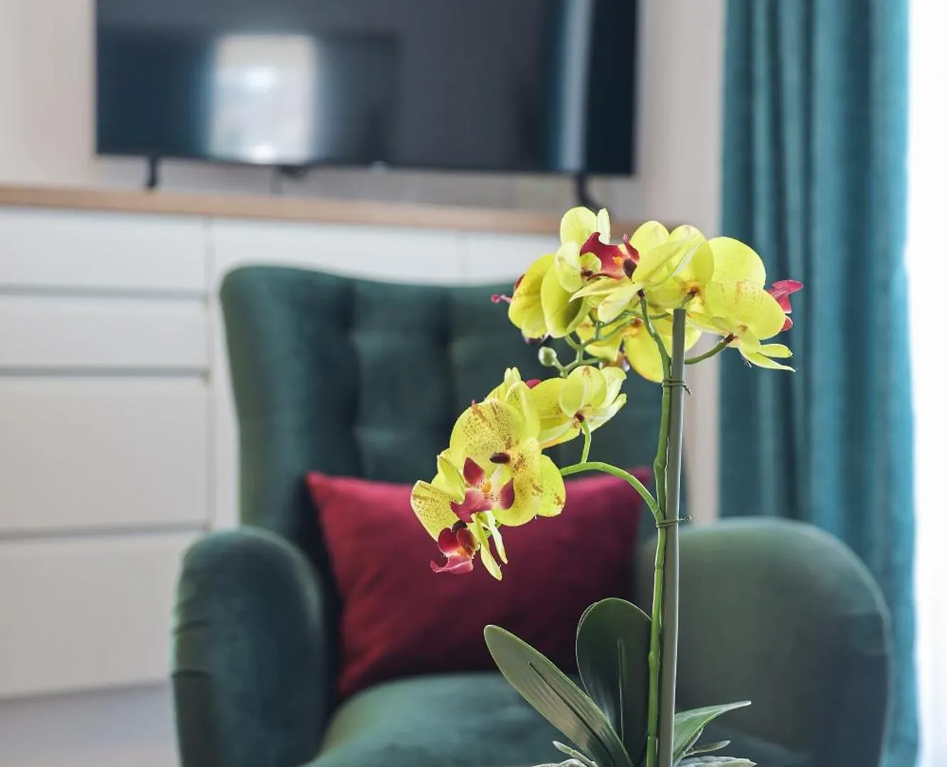 Amfora Apartman Zadar